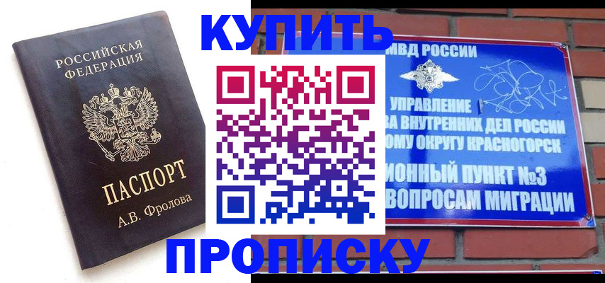 прописка поиск в Нелидово